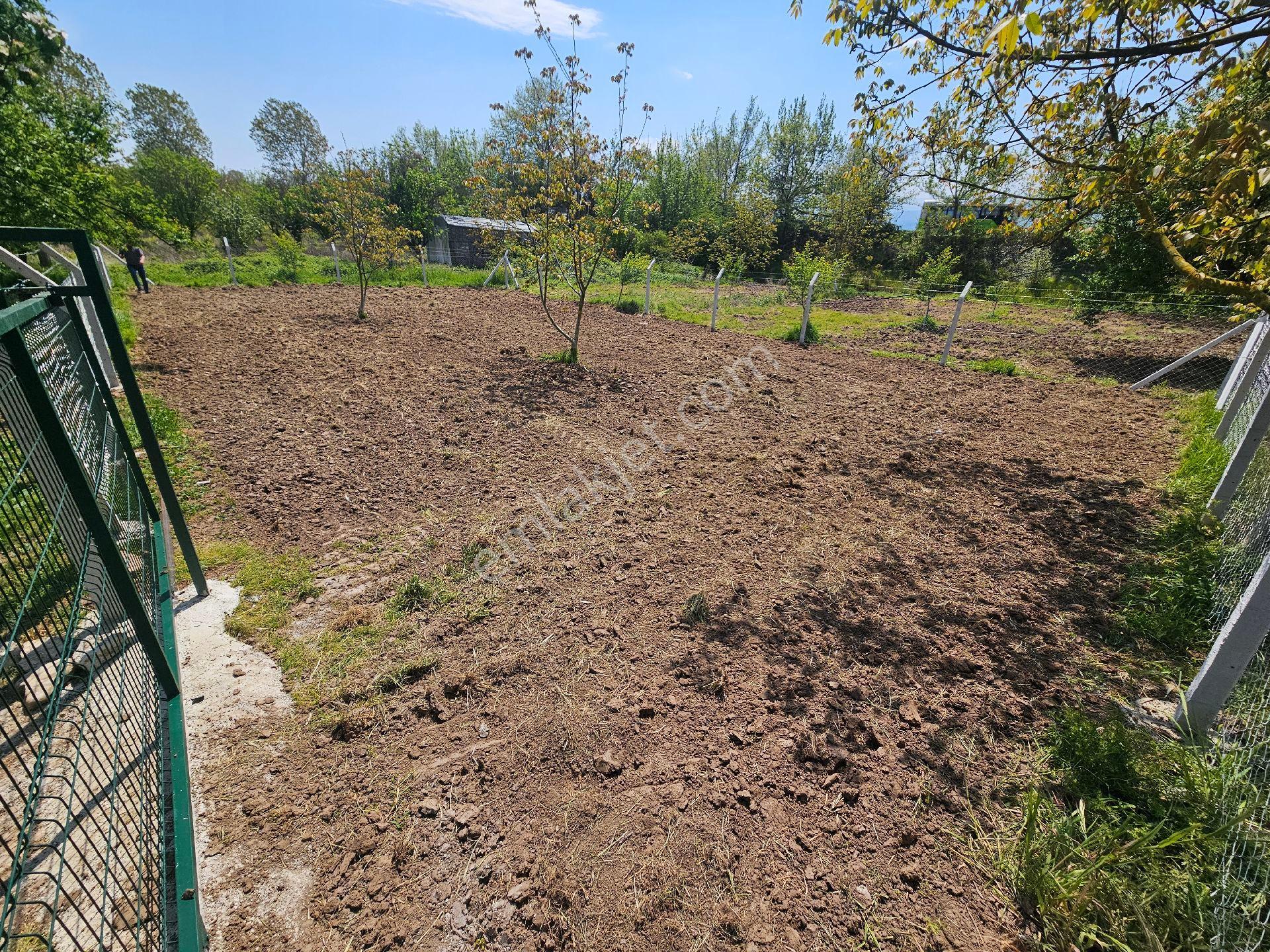 Kartepe Eşmede - Görsel 15