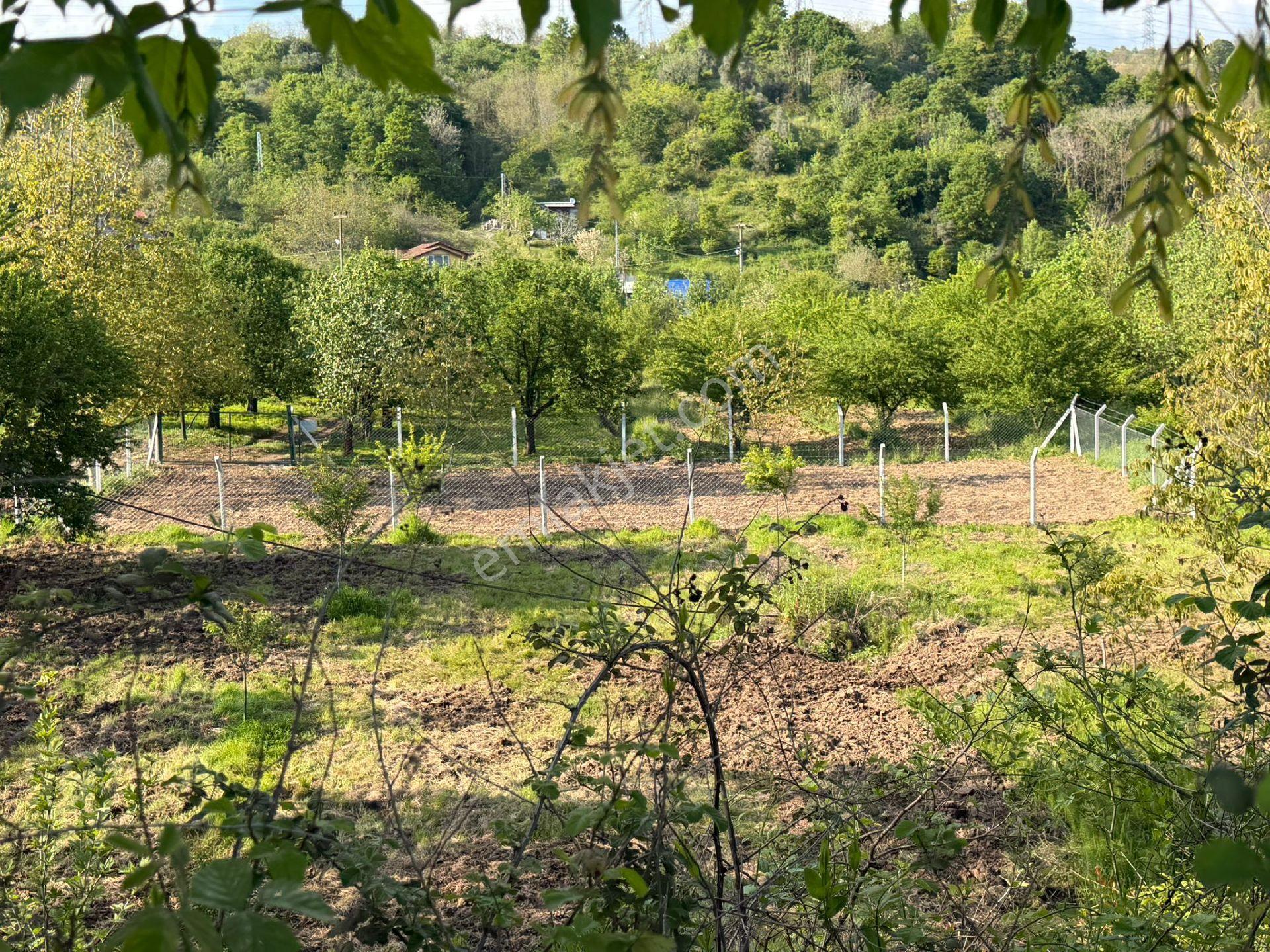Kartepe Eşmede - Görsel 9