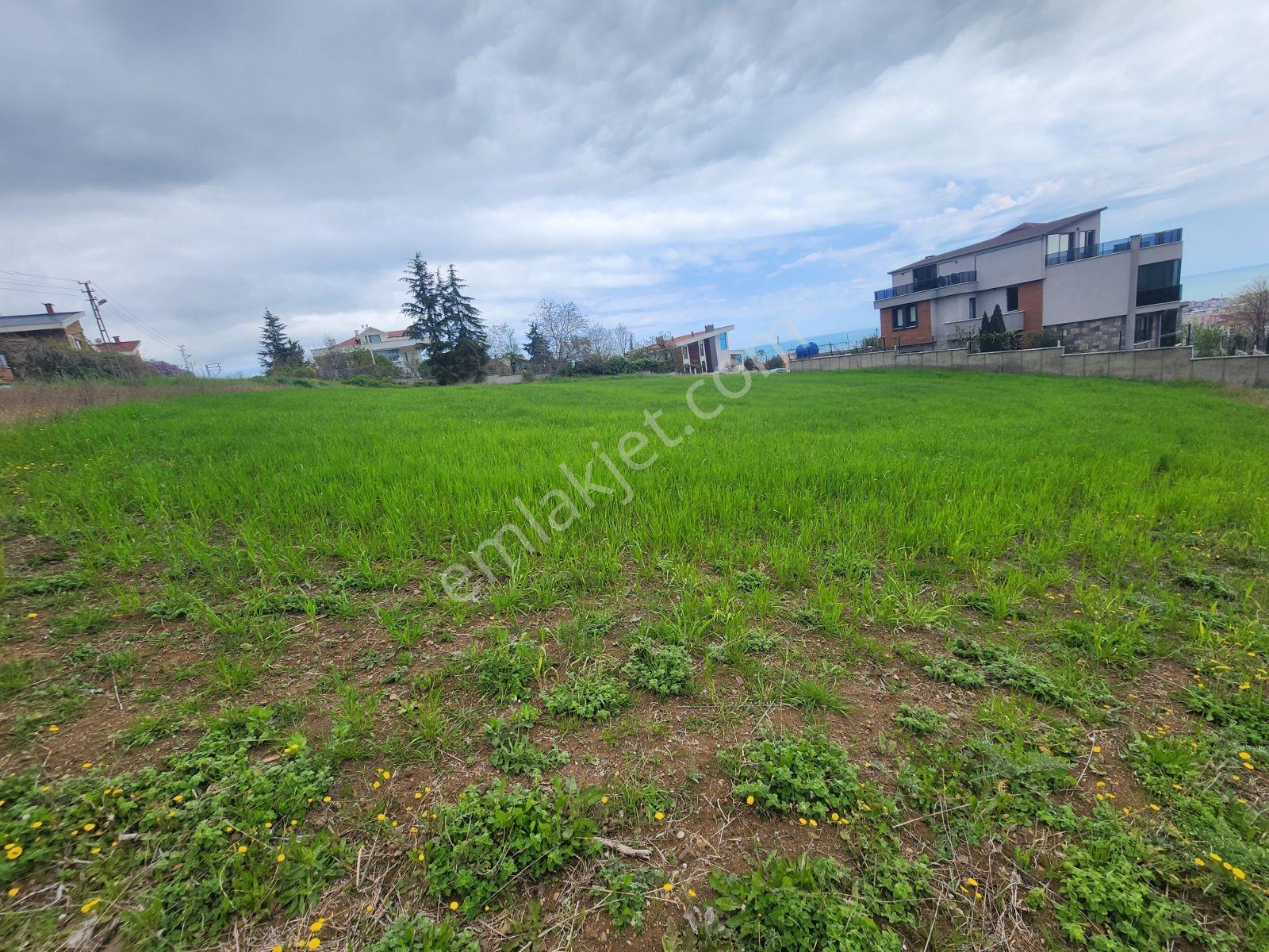 2 Kat İmarlı | 2643 M² | Villa Site Yapımına Uygun Satılık Arsa - Görsel 2