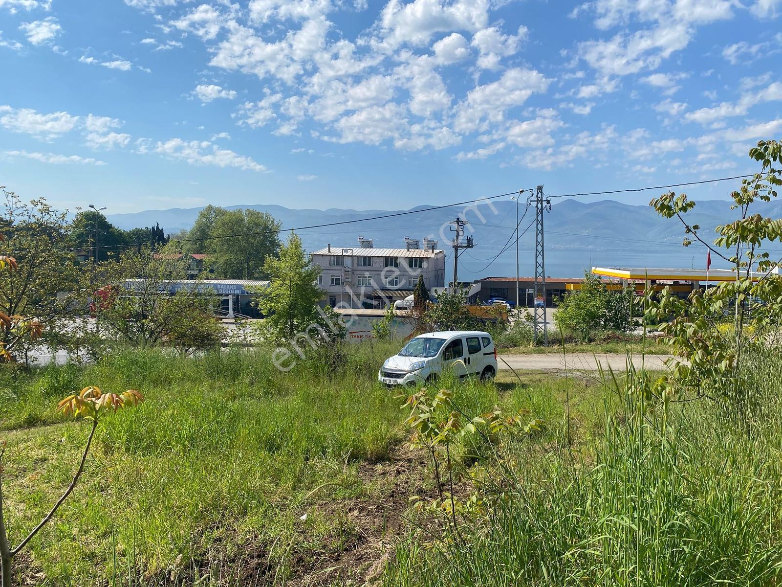Sapanca Gölü Manzaralı , Yol Kenarı Satılık Meyve Bahçesi - Görsel 8