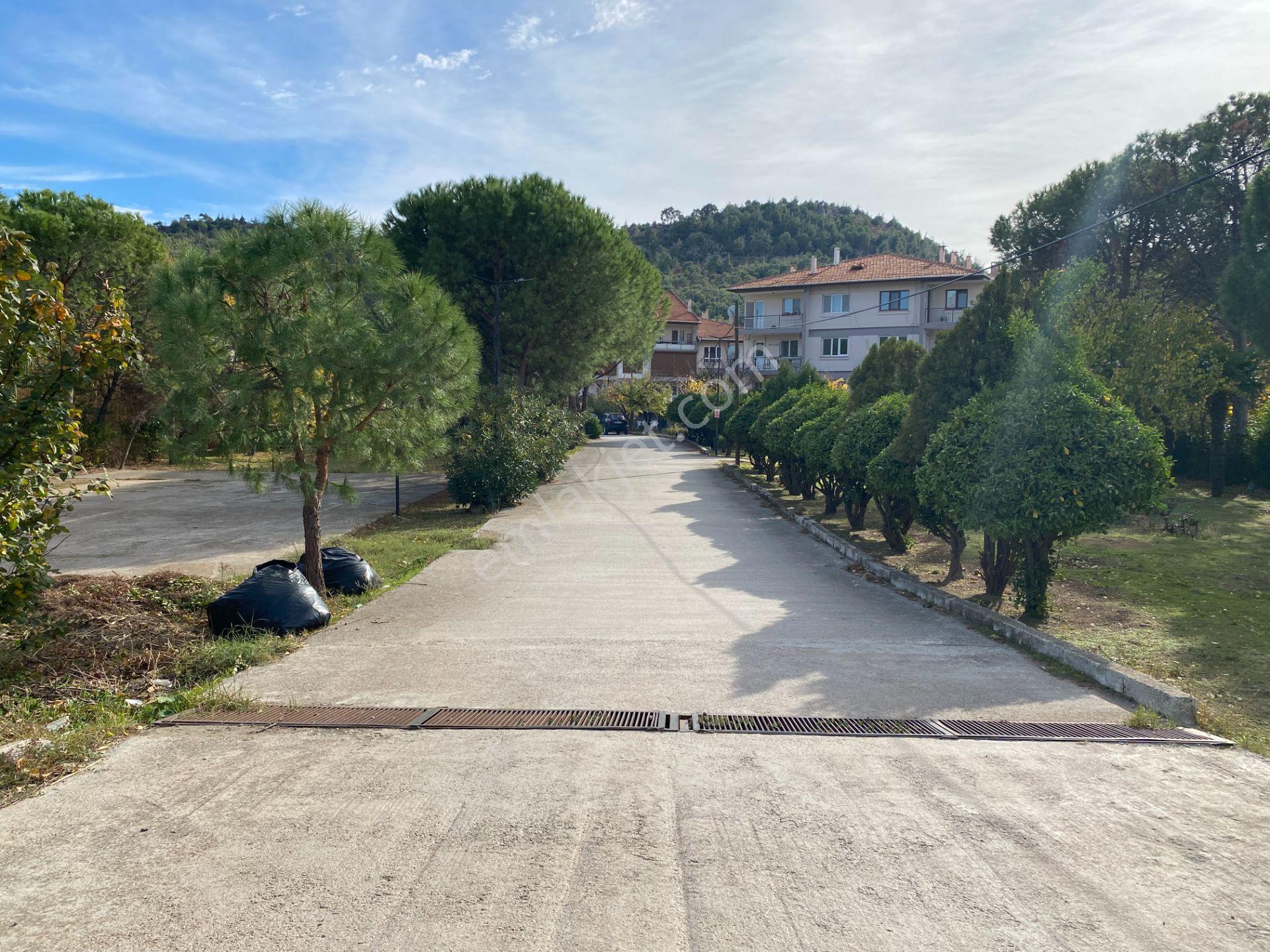 Ayvalık Sefa Çamlık Laka Mevkii Kiralık Daire - Görsel 31