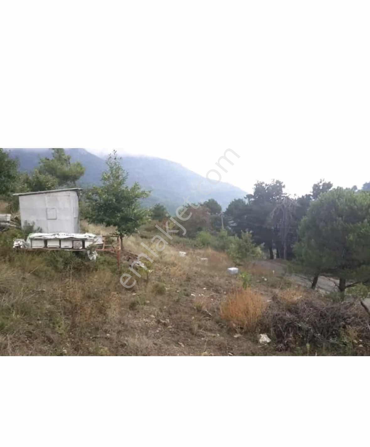 Kemalpaşa Kamberler Köyünde Yol Cepheli 4700m Satılık Tarla - Görsel 6