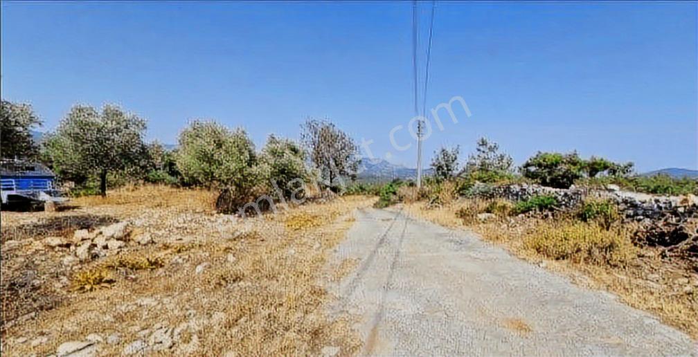 Elvan Özçelik'den Pinar Köyünde Köyiçi İmarlı Satılık Arsa
