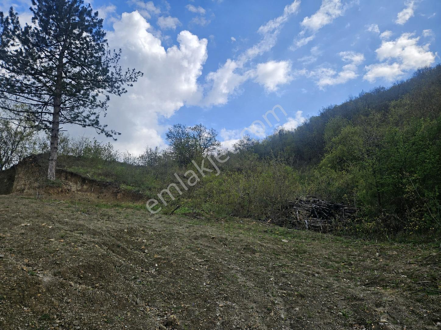 Roma' Dan Özlüce Mahallesi' Nde Satılık Tarla - Görsel 2
