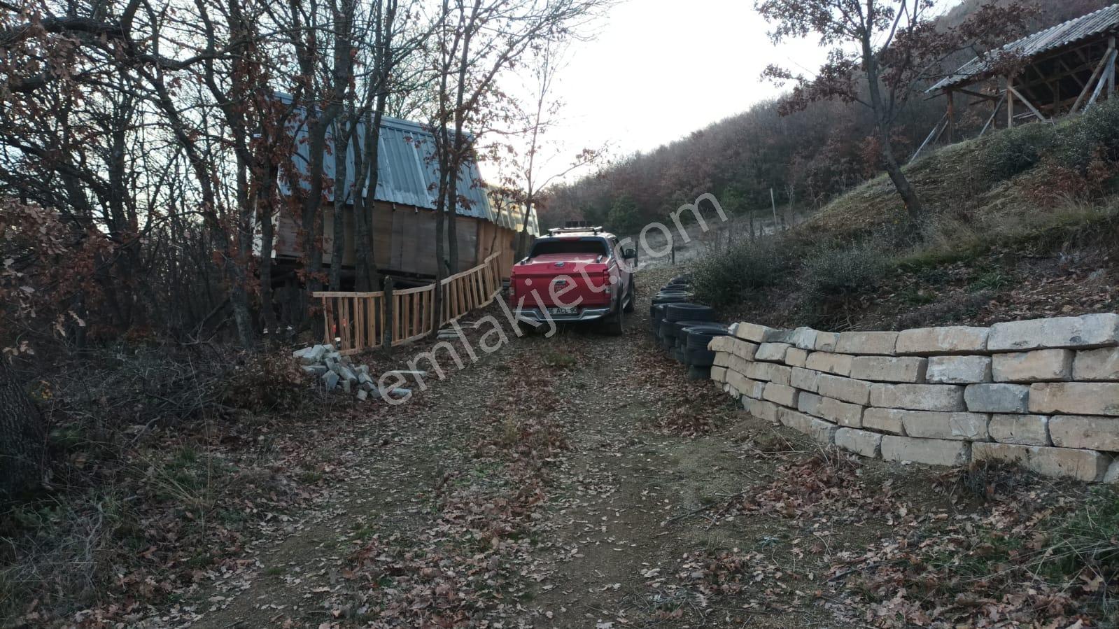 C21 Cius;yenişehir Burcun Köyünde Satılık Tarla - Görsel 16