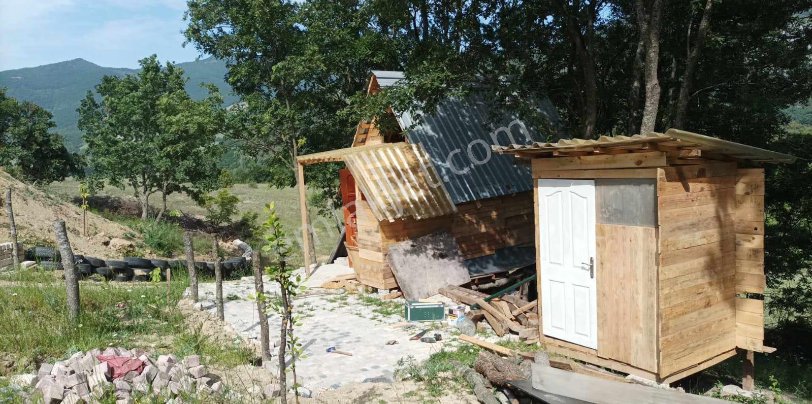 C21 Cius;yenişehir Burcun Köyünde Satılık Tarla - Görsel 6