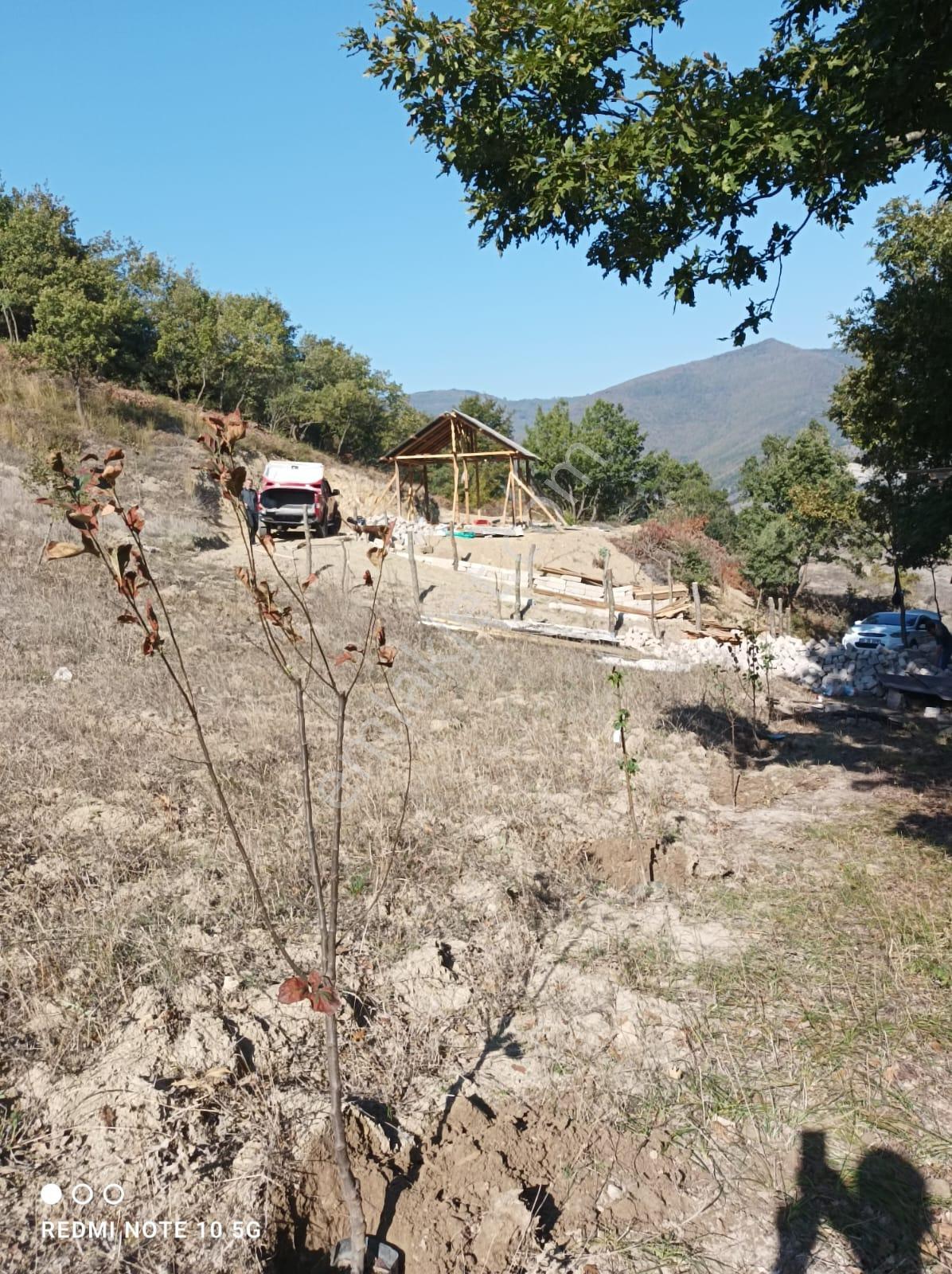 C21 Cius;yenişehir Burcun Köyünde Satılık Tarla - Görsel 18