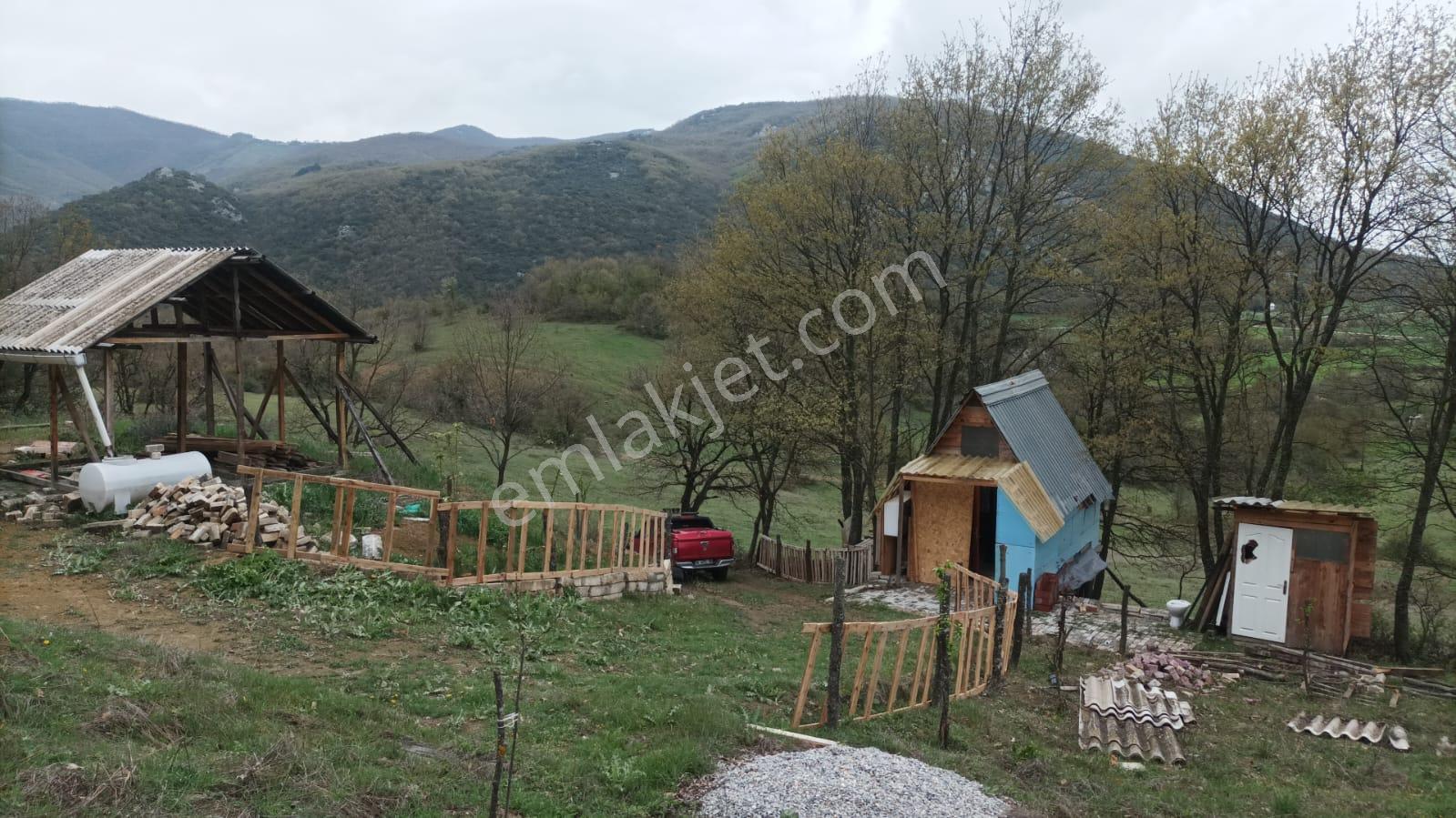 C21 Cius;yenişehir Burcun Köyünde Satılık Tarla - Görsel 3