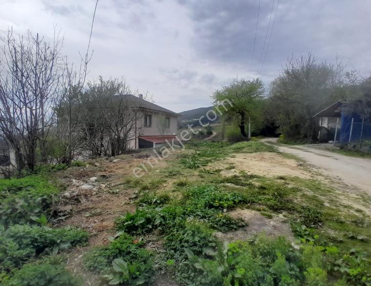 Turyap'tan Geyve Bağlarbaşı'nda Satılık 394 M2 Köyiçi Arsa - Görsel 2