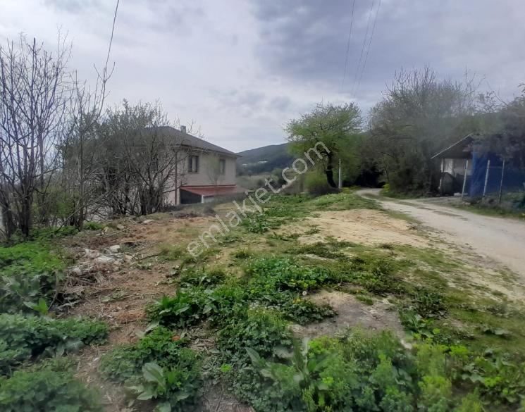 Turyap'tan Geyve Bağlarbaşı'nda Satılık 394 M2 Köyiçi Arsa - Görsel 8