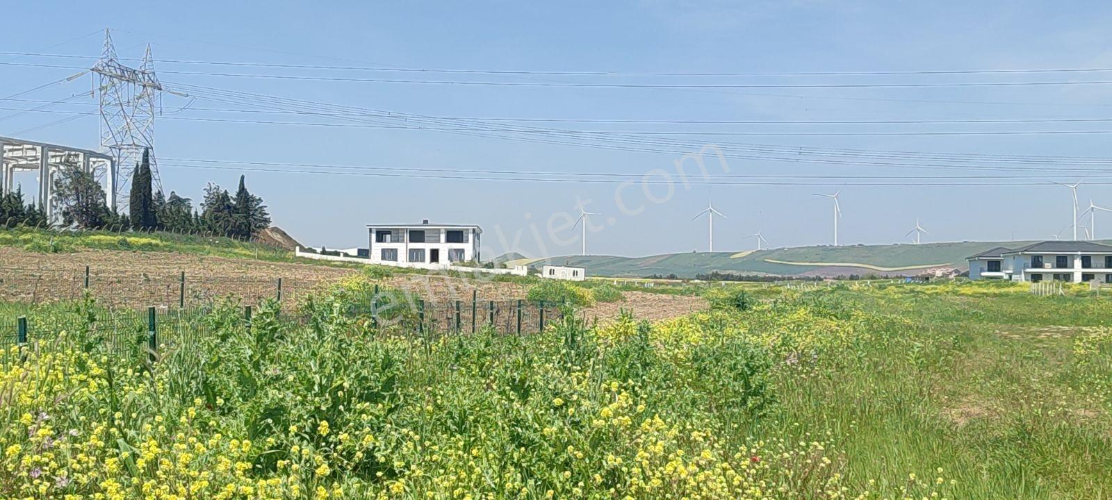Silivri Çanta Köyde İmarlı Arsa - Görsel 7