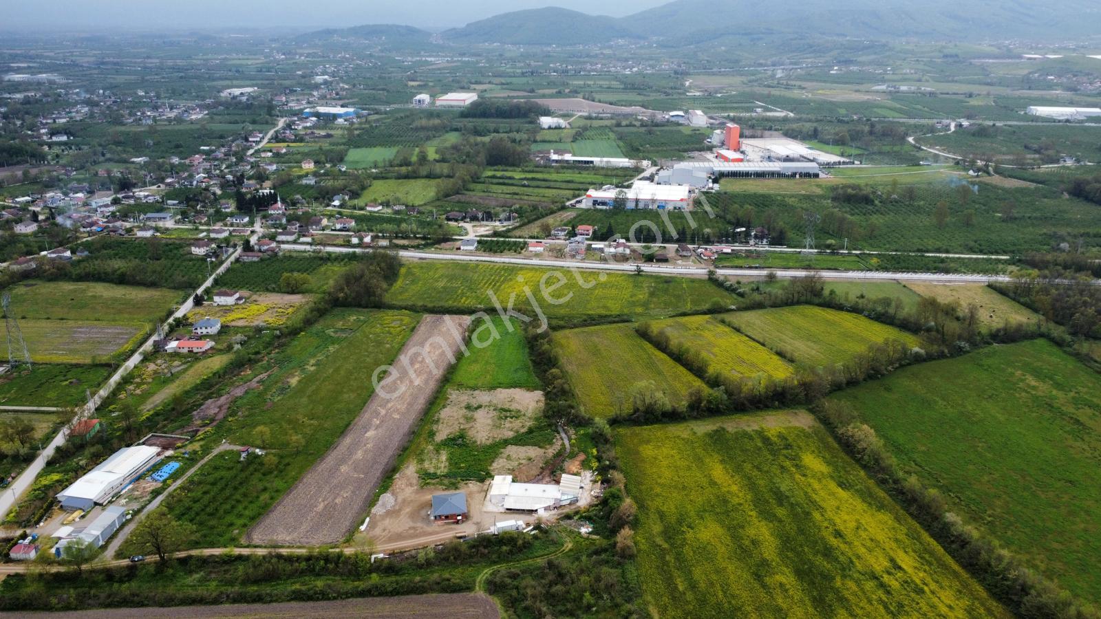 Çilimli'de Tarıma Elverişli 10.488 M² Satılık Arazi - Görsel 10