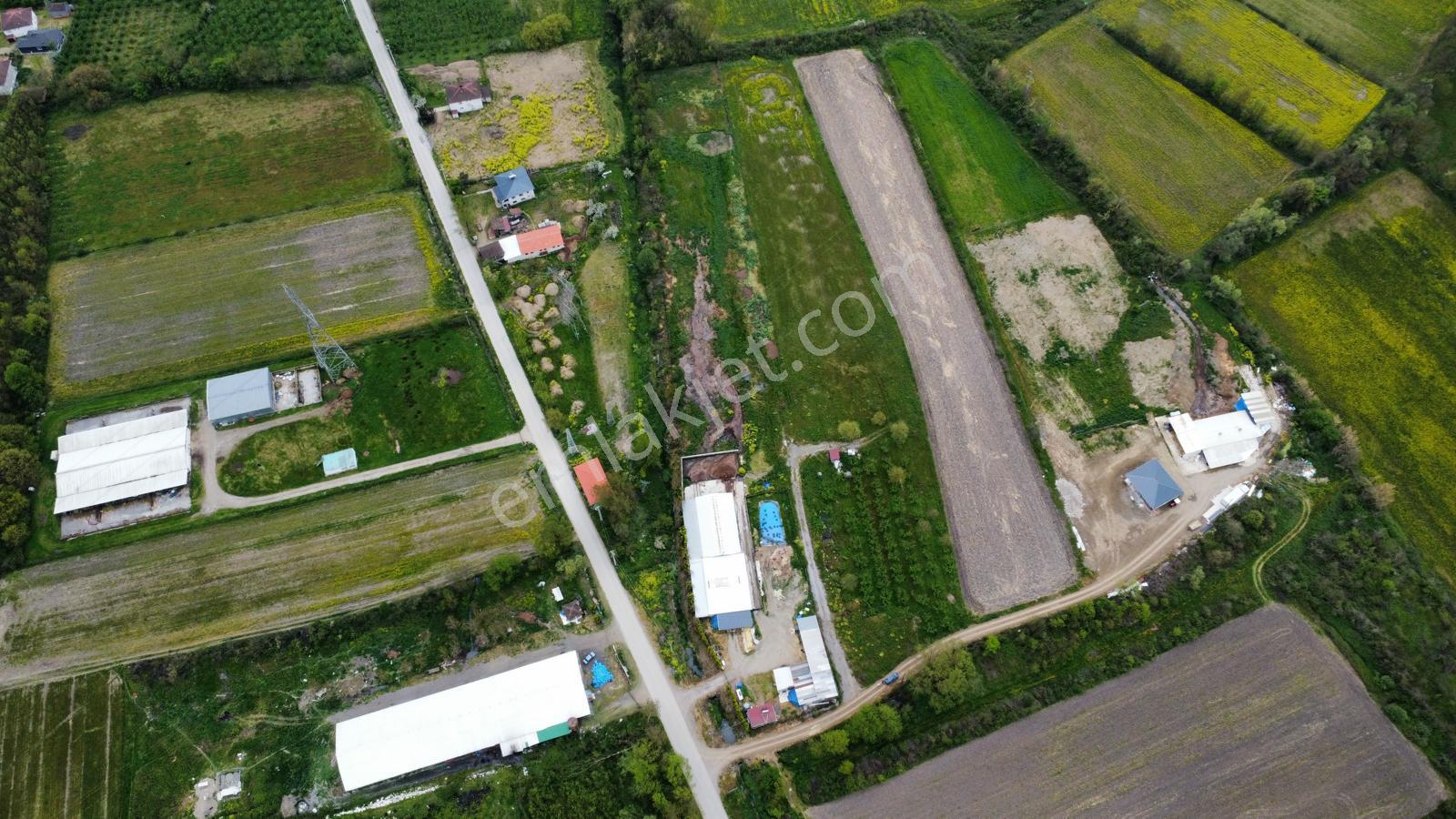 Çilimli'de Tarıma Elverişli 10.488 M² Satılık Arazi - Görsel 26