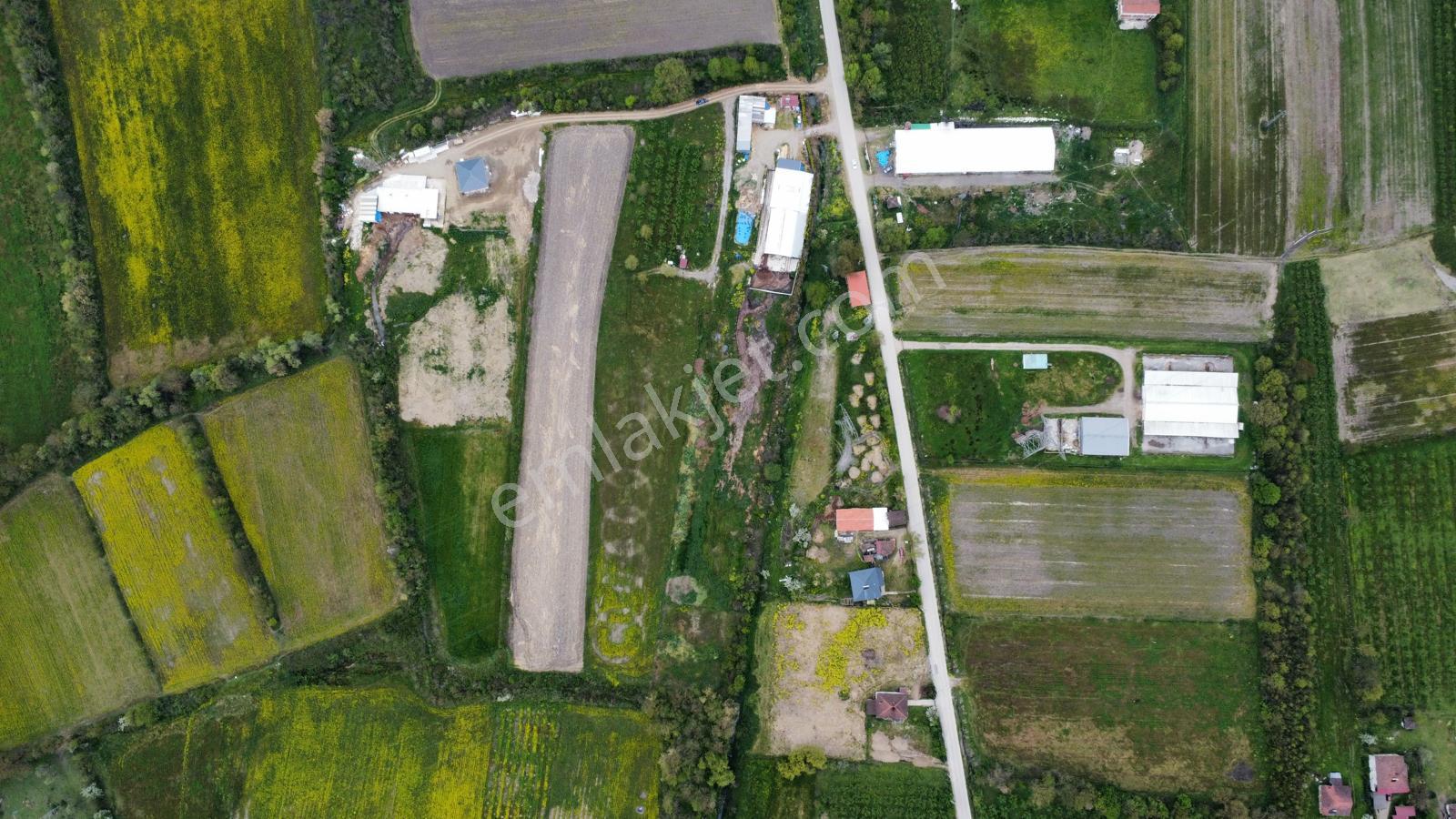 Çilimli'de Tarıma Elverişli 10.488 M² Satılık Arazi - Görsel 16