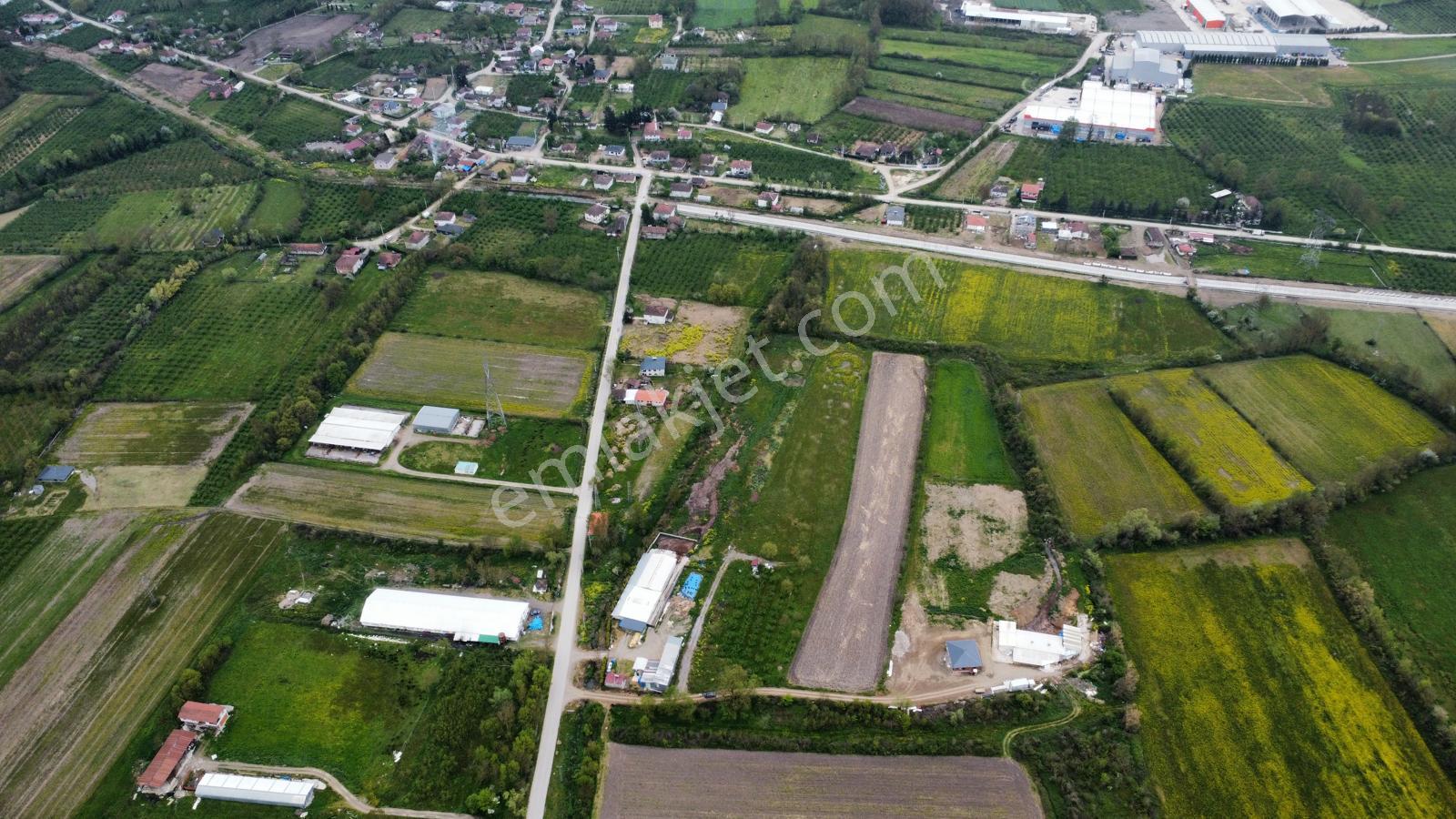 Çilimli'de Tarıma Elverişli 10.488 M² Satılık Arazi - Görsel 12