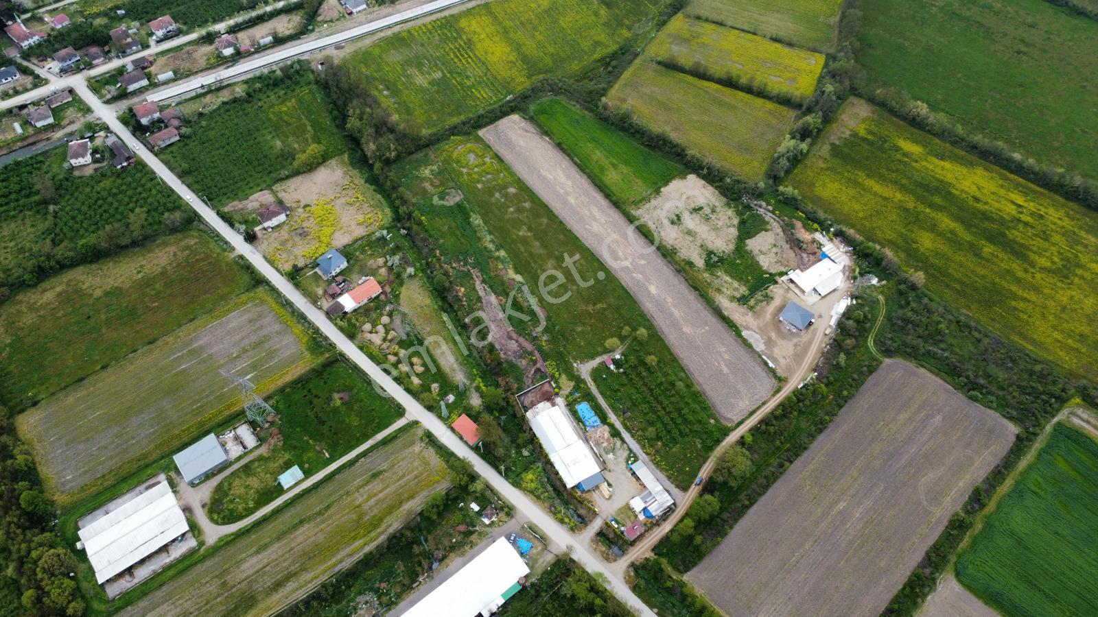 Çilimli'de Tarıma Elverişli 10.488 M² Satılık Arazi - Görsel 5
