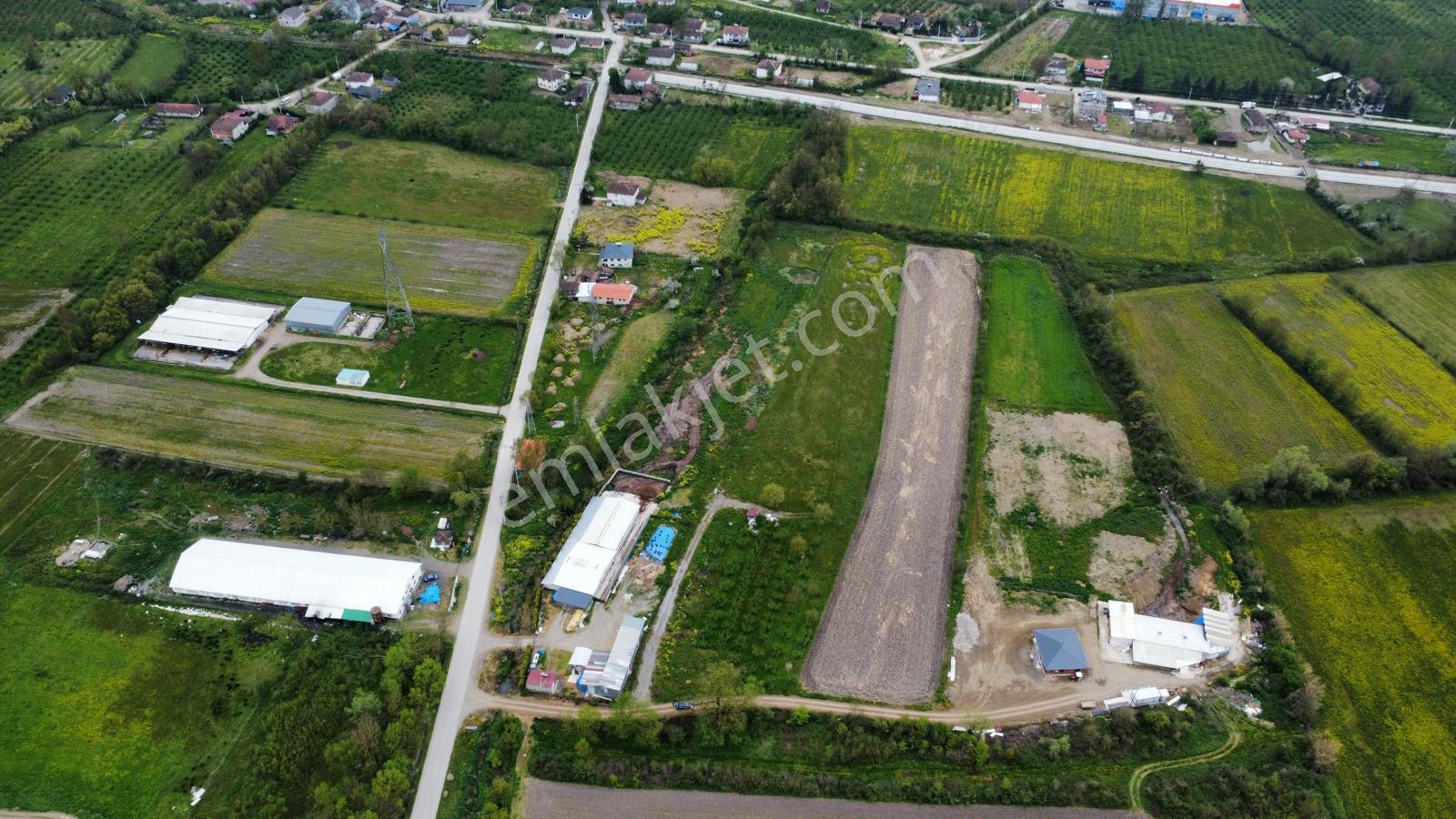 Çilimli'de Tarıma Elverişli 10.488 M² Satılık Arazi - Görsel 23