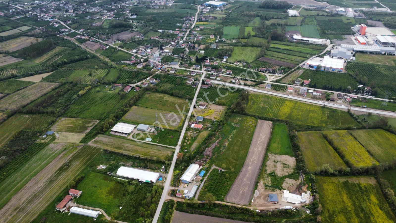 Çilimli'de Tarıma Elverişli 10.488 M² Satılık Arazi - Görsel 13