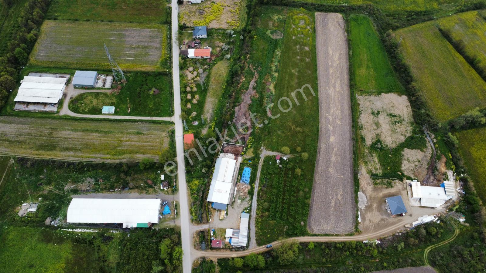 Çilimli'de Tarıma Elverişli 10.488 M² Satılık Arazi - Görsel 3