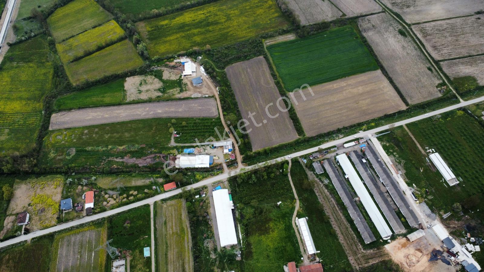Çilimli'de Tarıma Elverişli 10.488 M² Satılık Arazi - Görsel 18