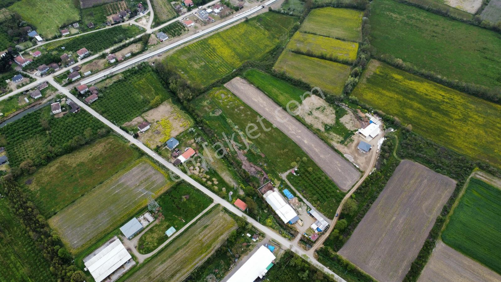 Çilimli'de Tarıma Elverişli 10.488 M² Satılık Arazi - Görsel 2