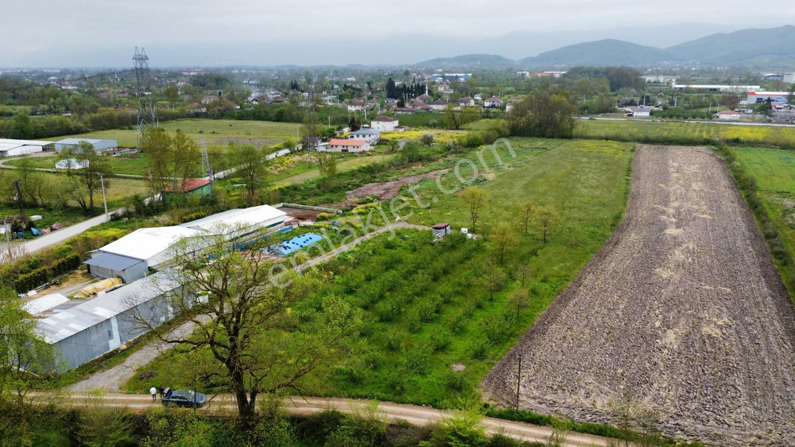 Çilimli'de Tarıma Elverişli 10.488 M² Satılık Arazi - Görsel 22