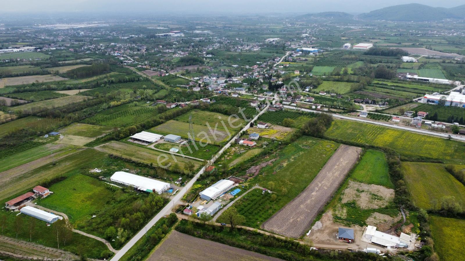 Çilimli'de Tarıma Elverişli 10.488 M² Satılık Arazi - Görsel 7