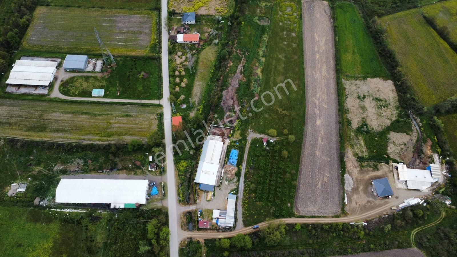 Çilimli'de Tarıma Elverişli 10.488 M² Satılık Arazi - Görsel 4