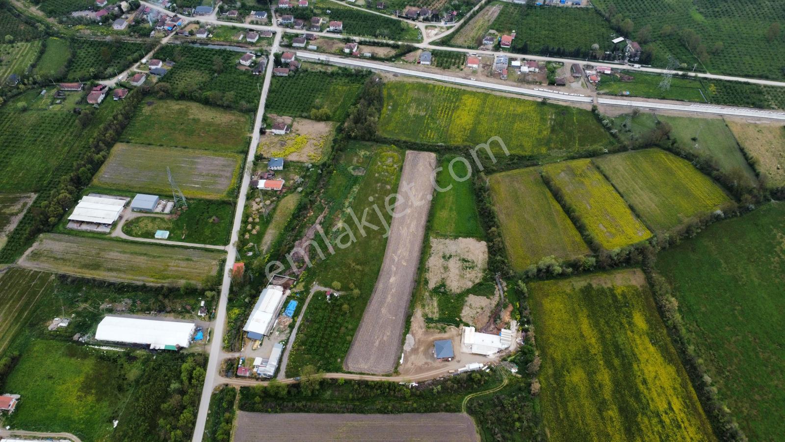 Çilimli'de Tarıma Elverişli 10.488 M² Satılık Arazi - Görsel 21
