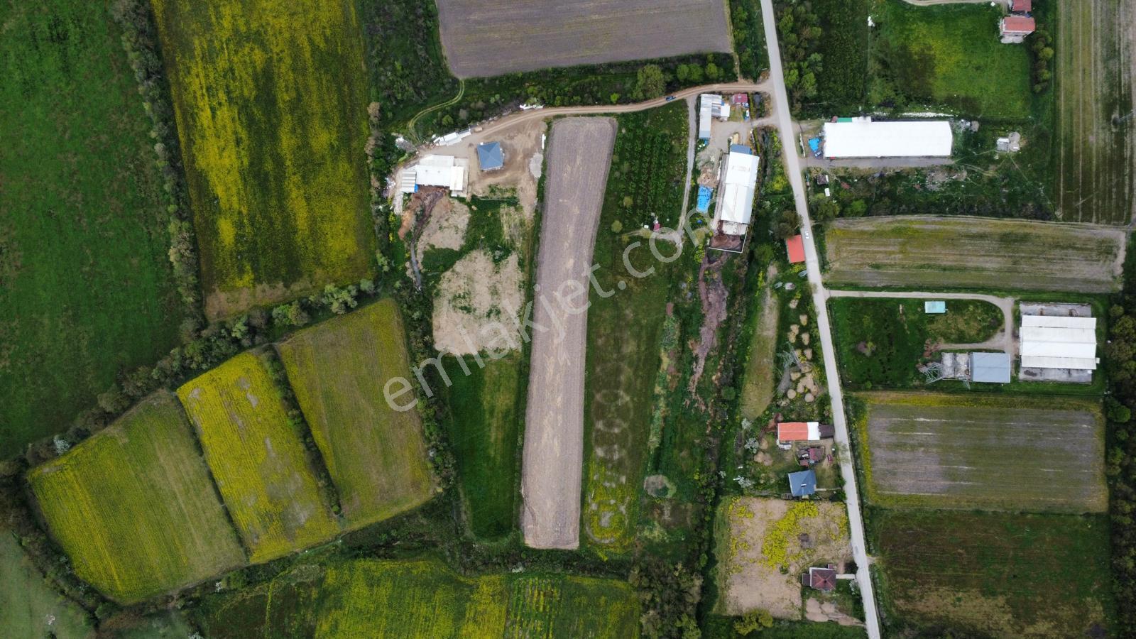 Çilimli'de Tarıma Elverişli 10.488 M² Satılık Arazi - Görsel 17