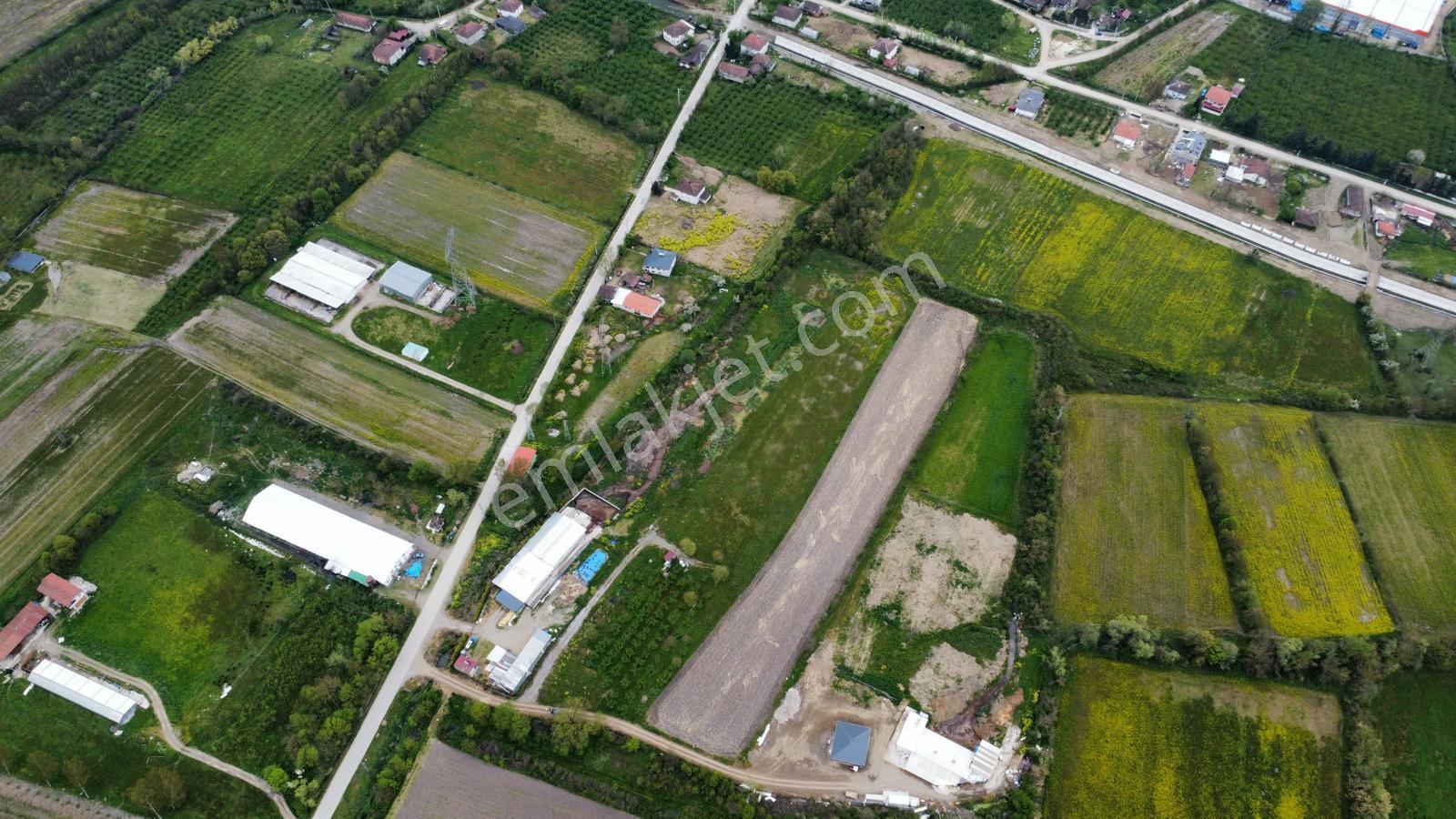 Çilimli'de Tarıma Elverişli 10.488 M² Satılık Arazi - Görsel 24