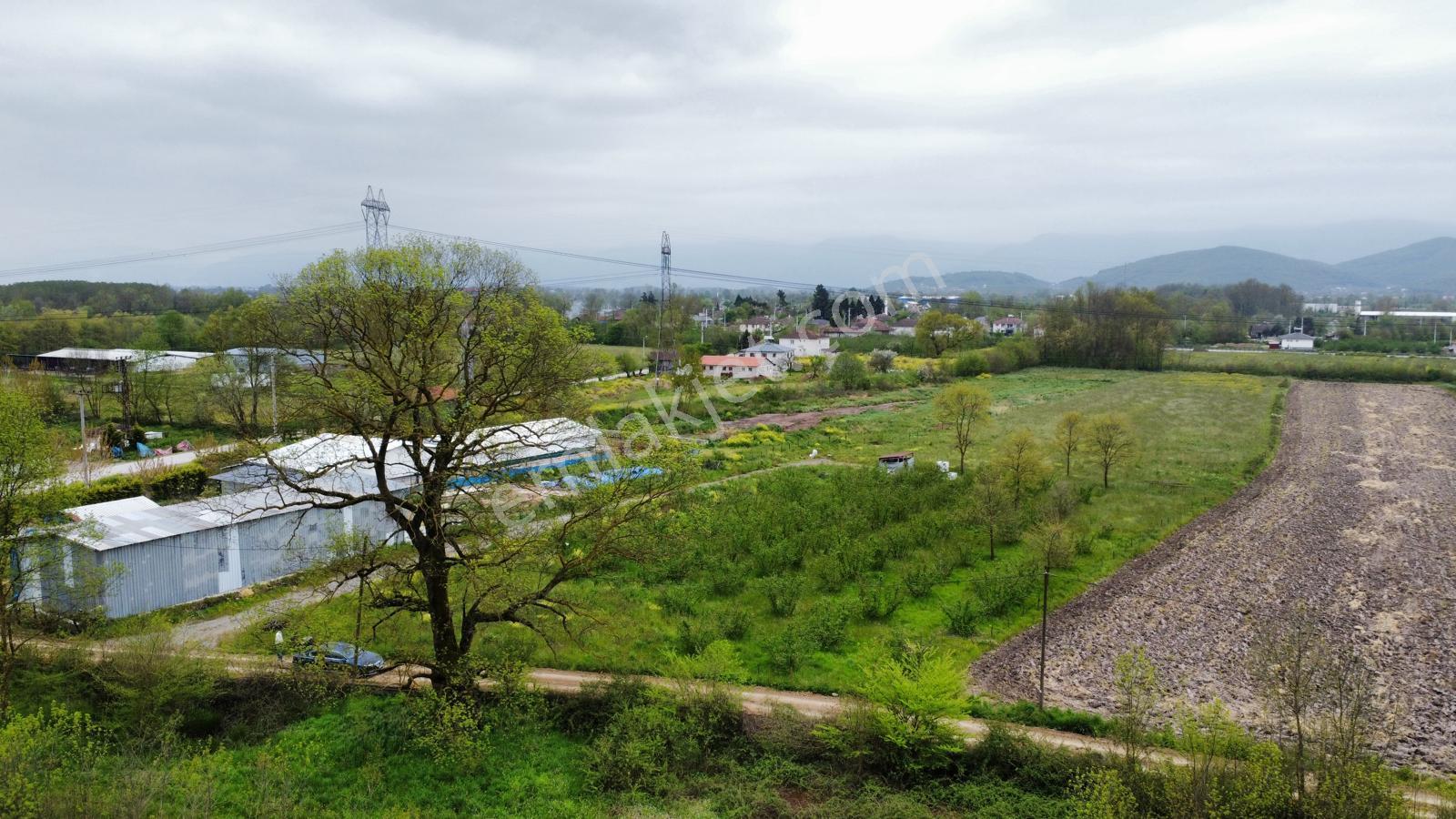 Çilimli'de Tarıma Elverişli 10.488 M² Satılık Arazi - Görsel 15