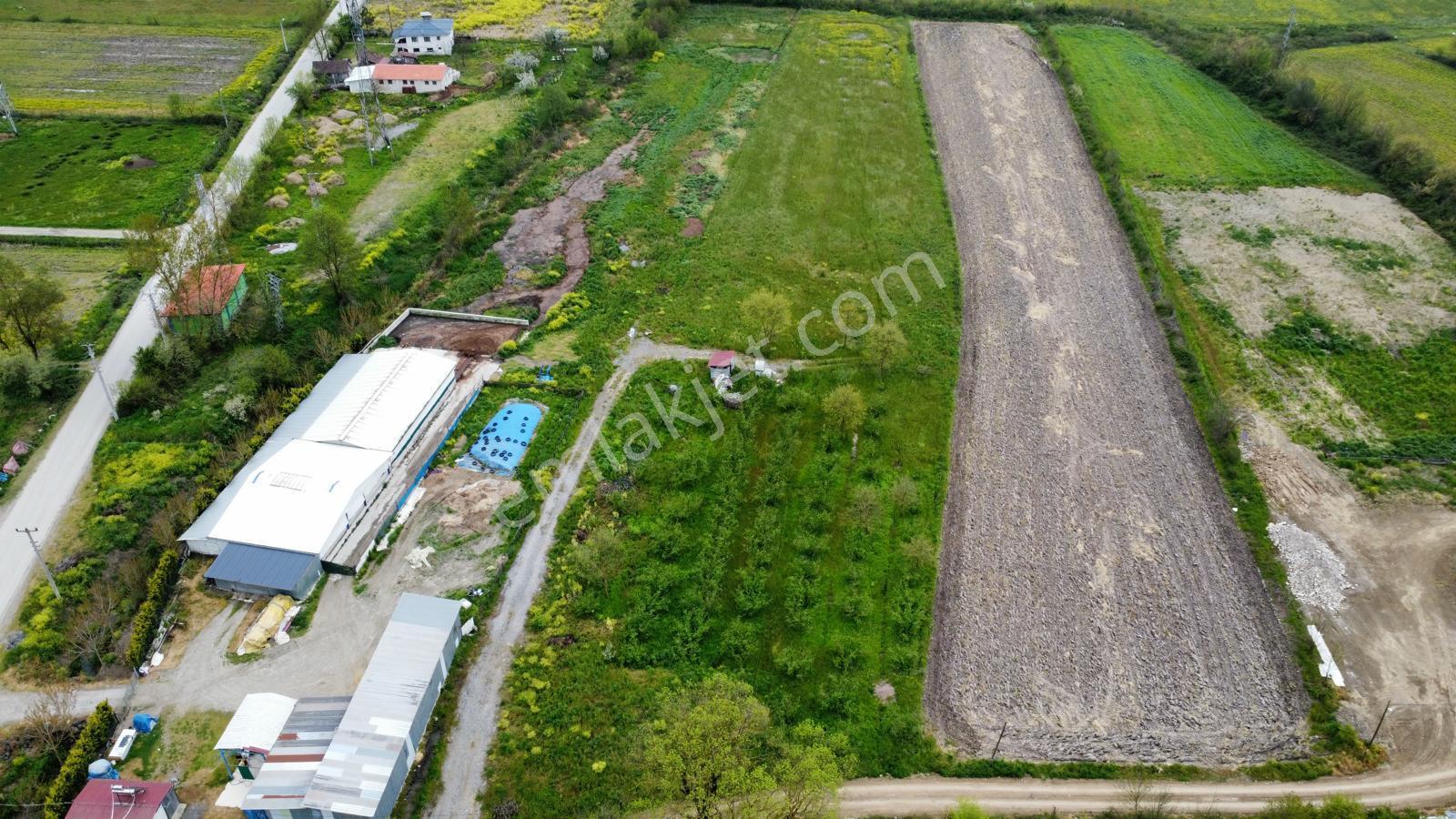 Çilimli'de Tarıma Elverişli 10.488 M² Satılık Arazi - Görsel 14