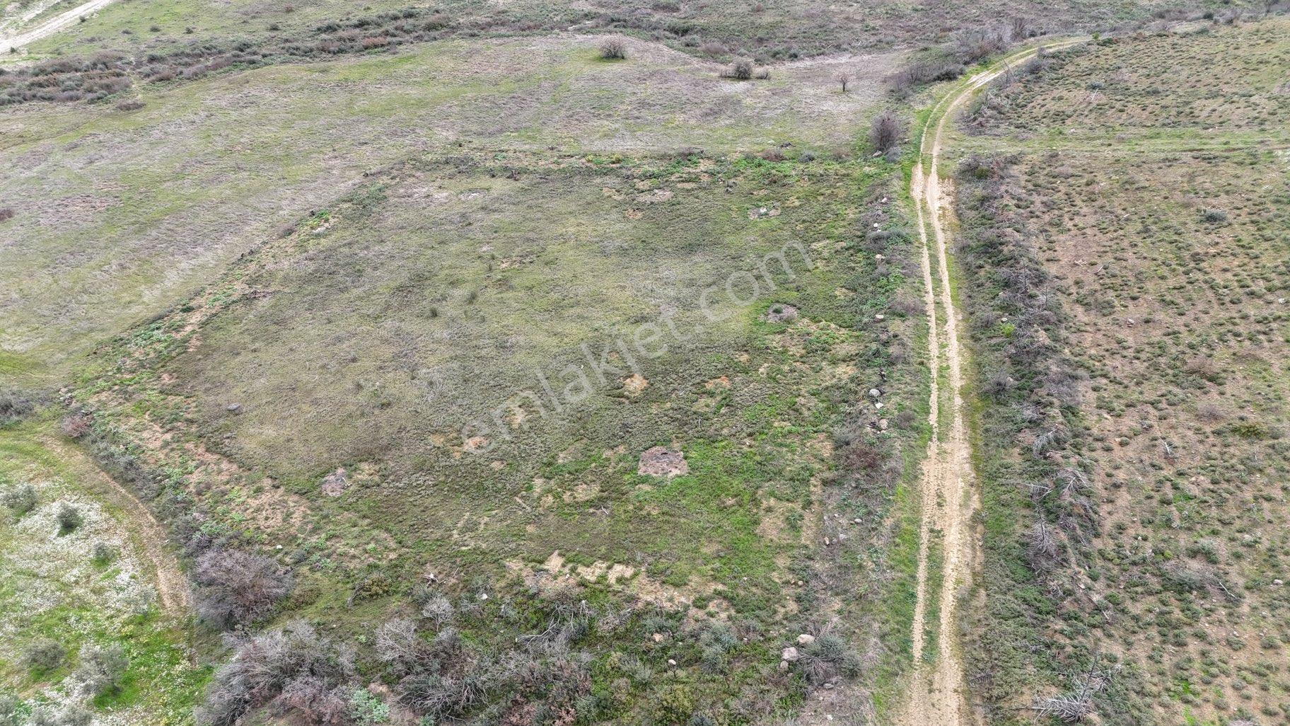 Kınık Balaban Köyü’nde Satılık Fırsat Arazi! - Görsel 3