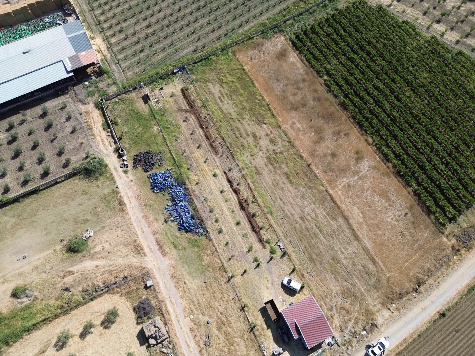 Yanıkköy'de Satılık Köy Merkezine Yakın 1672m2 Tek Tapu Tarla - Görsel 6