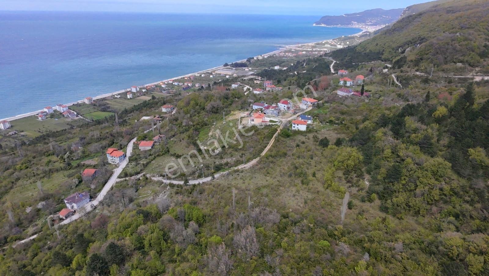 Kastamonu Cide Gebeş Mahallesinde 6.605 Metre Kare Deniz Manzaralı Arsa - Görsel 4