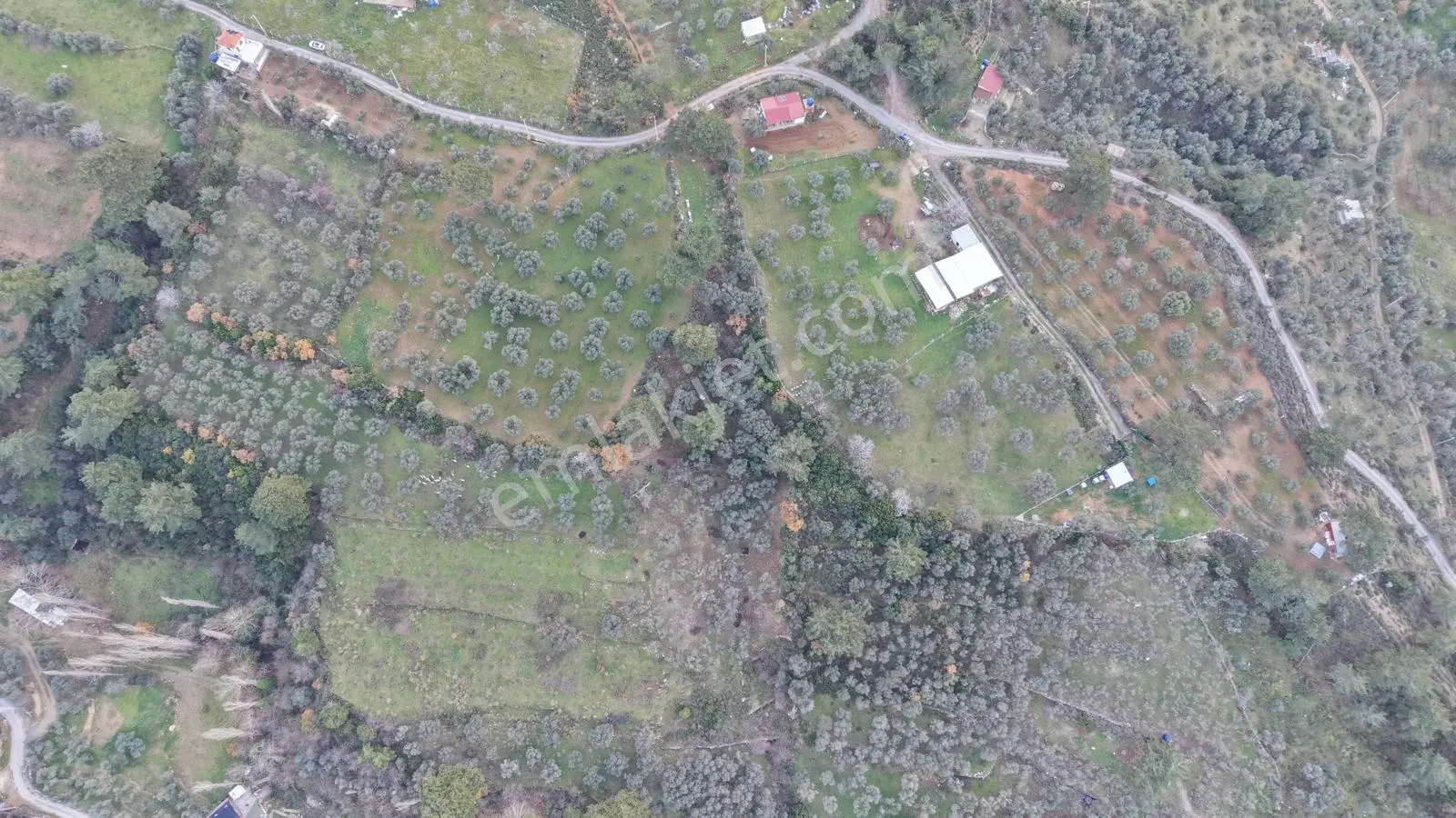 Armutlu Merkezine Yakın Müstakil Tapulu 1600m² Zeytinlik - Görsel 4
