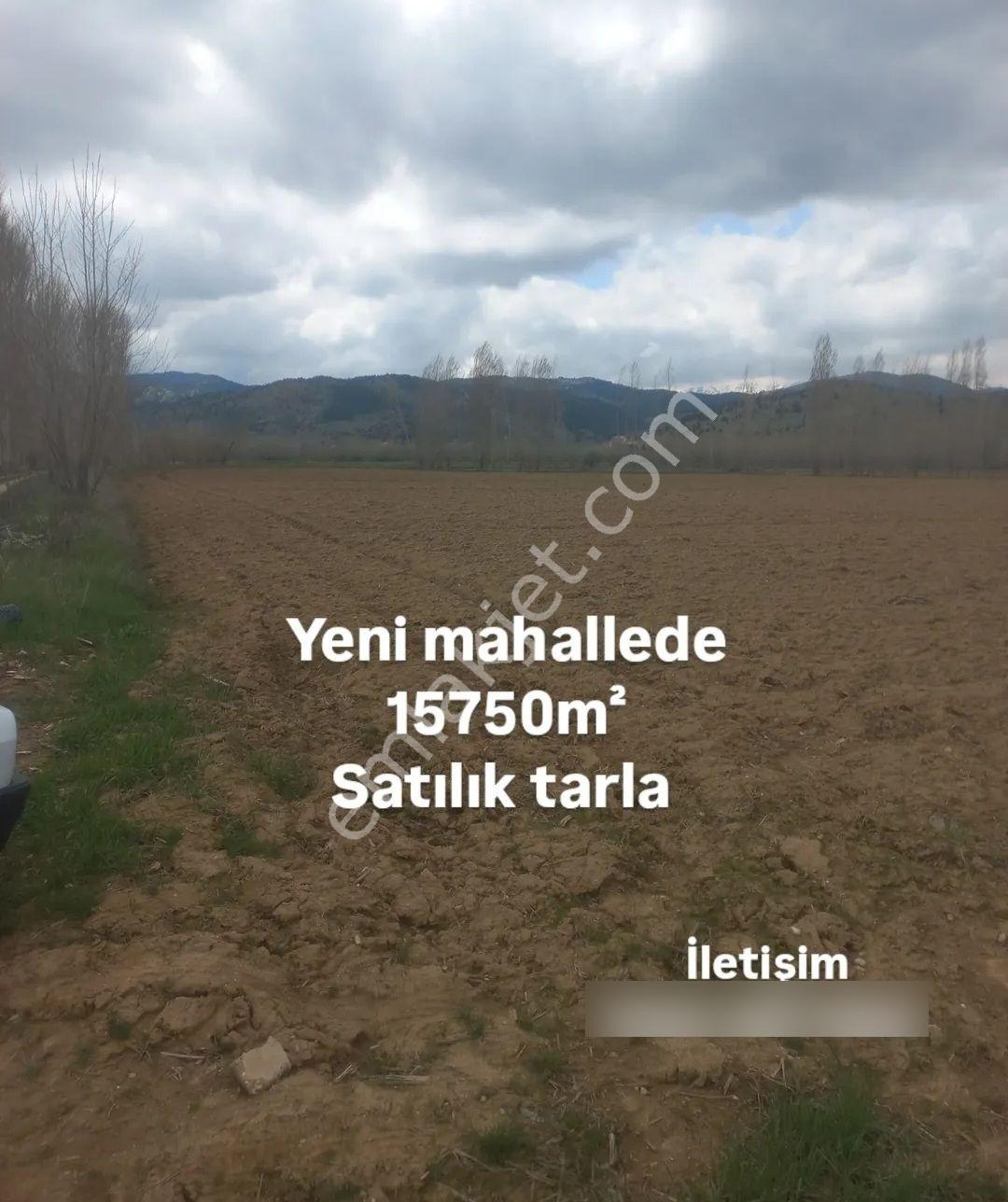 Kahramanmaraş Göksun Yeni Mahallede Satılık Tarla