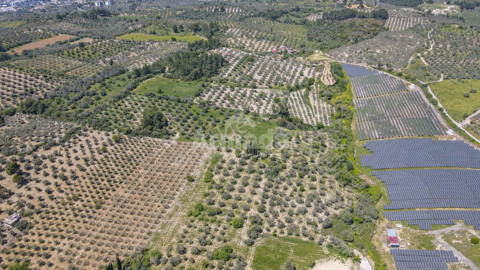 Kuşadası'nda İmara Teğet Satılık Arazi - Görsel 6