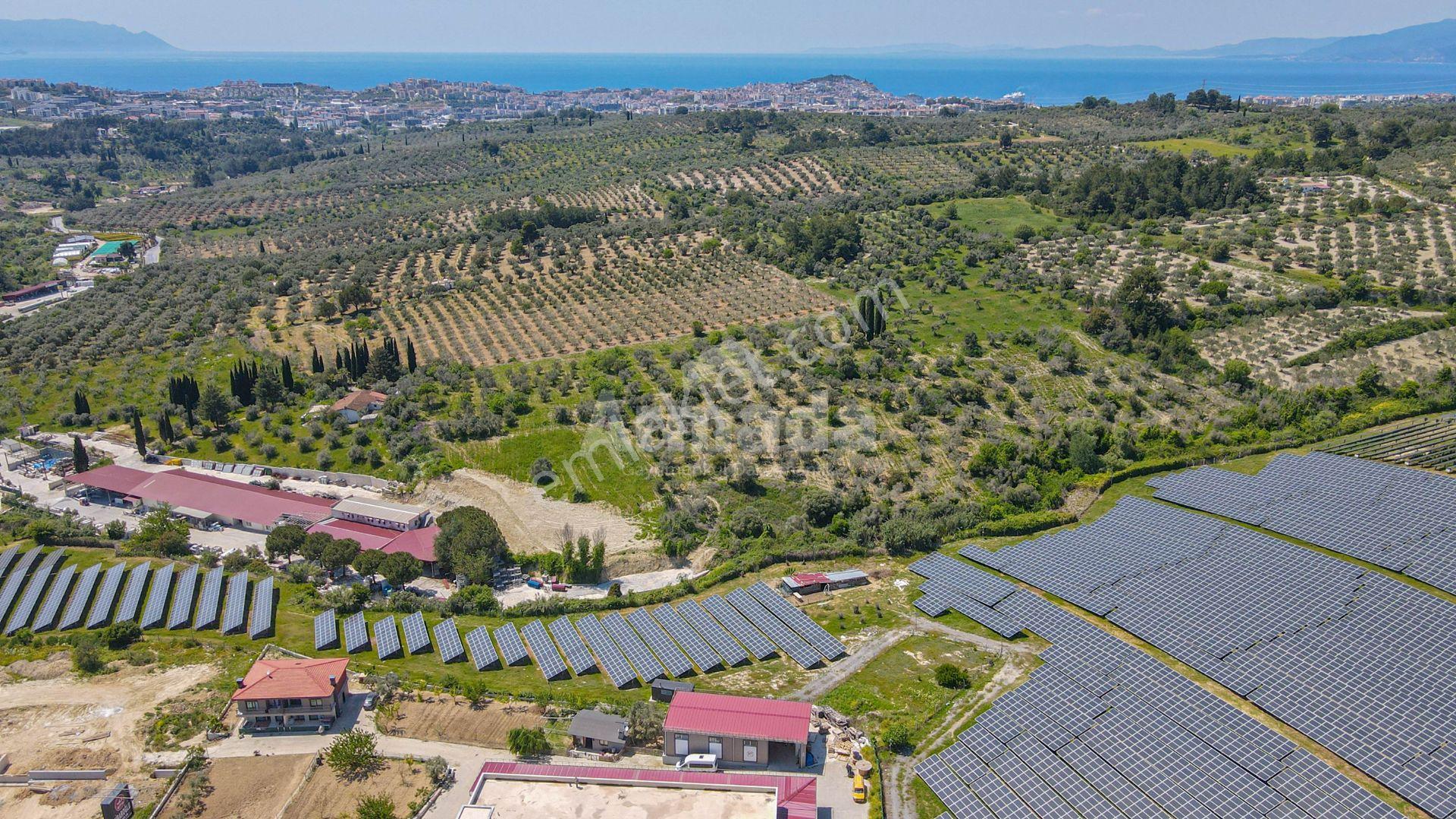 Kuşadası'nda İmara Teğet Satılık Arazi - Görsel 4