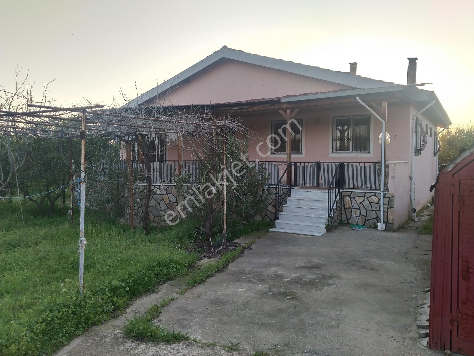 Müstakil Ev Ve Bahçe - Görsel 22