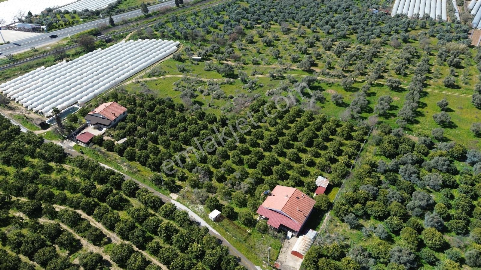 Müstakil Ev Ve Bahçe - Görsel 4