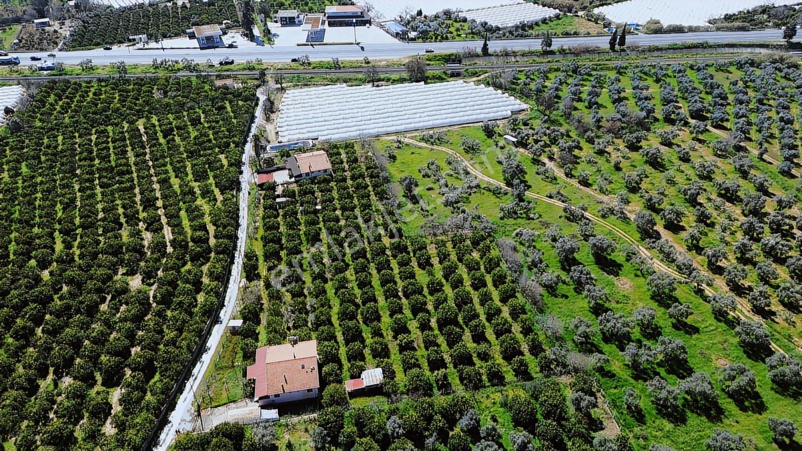 Müstakil Ev Ve Bahçe - Görsel 3