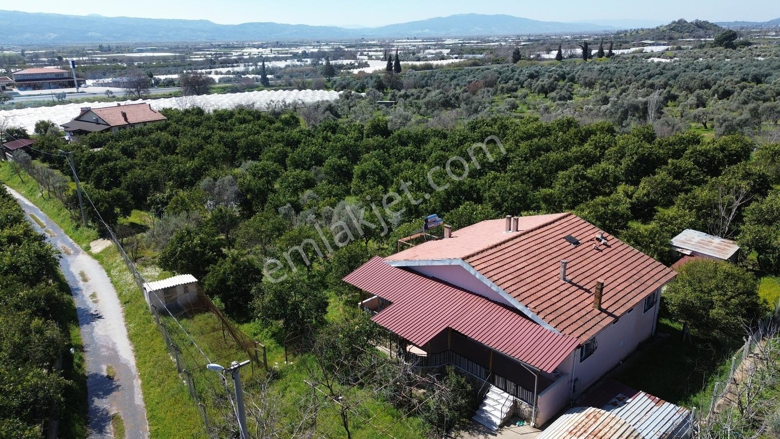 Müstakil Ev Ve Bahçe - Görsel 9