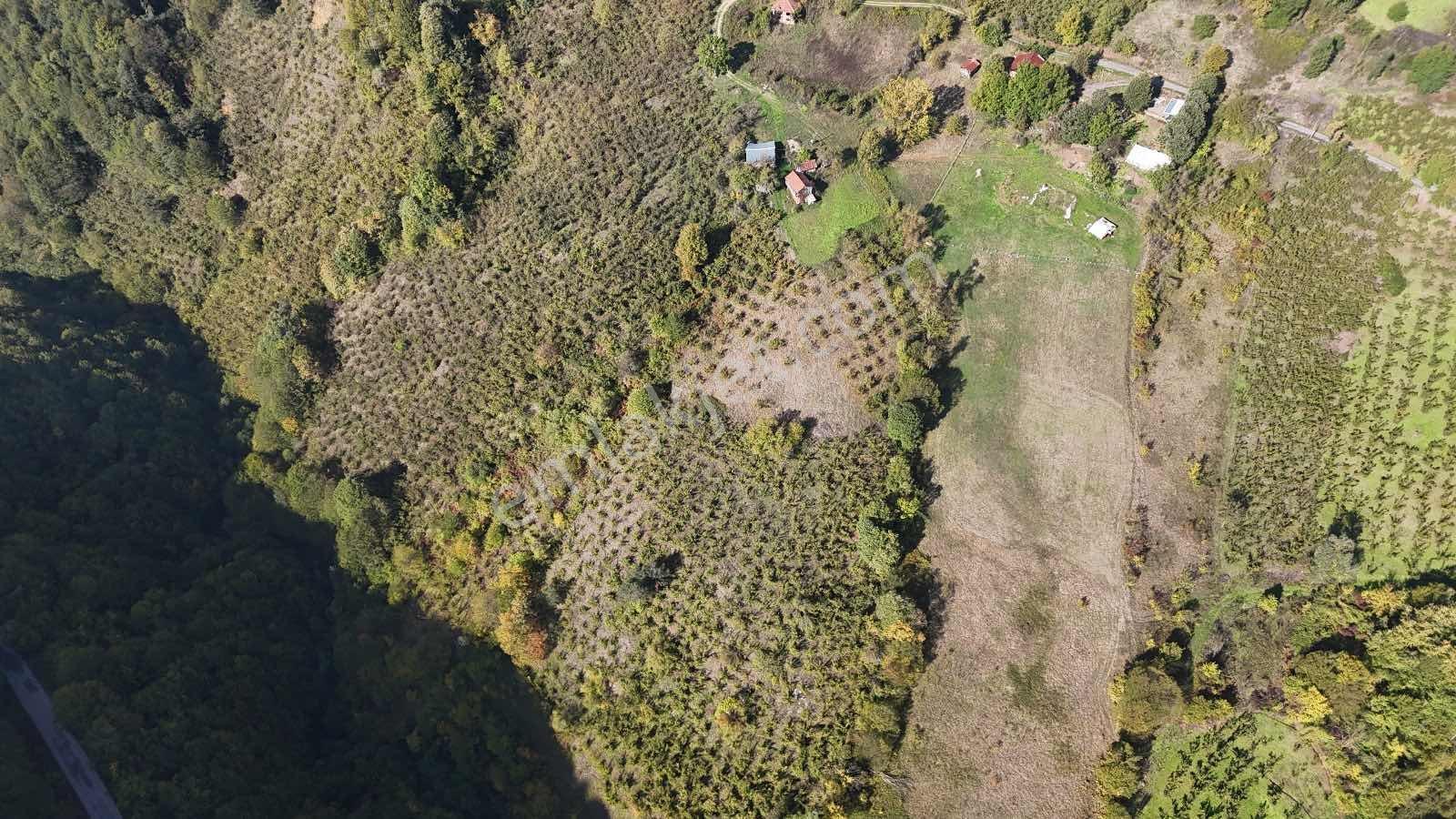 Ruşen Aydın Gayrımenkul'den Kaynaşlı Tavak Köyünde Satılık Arsa - Görsel 19