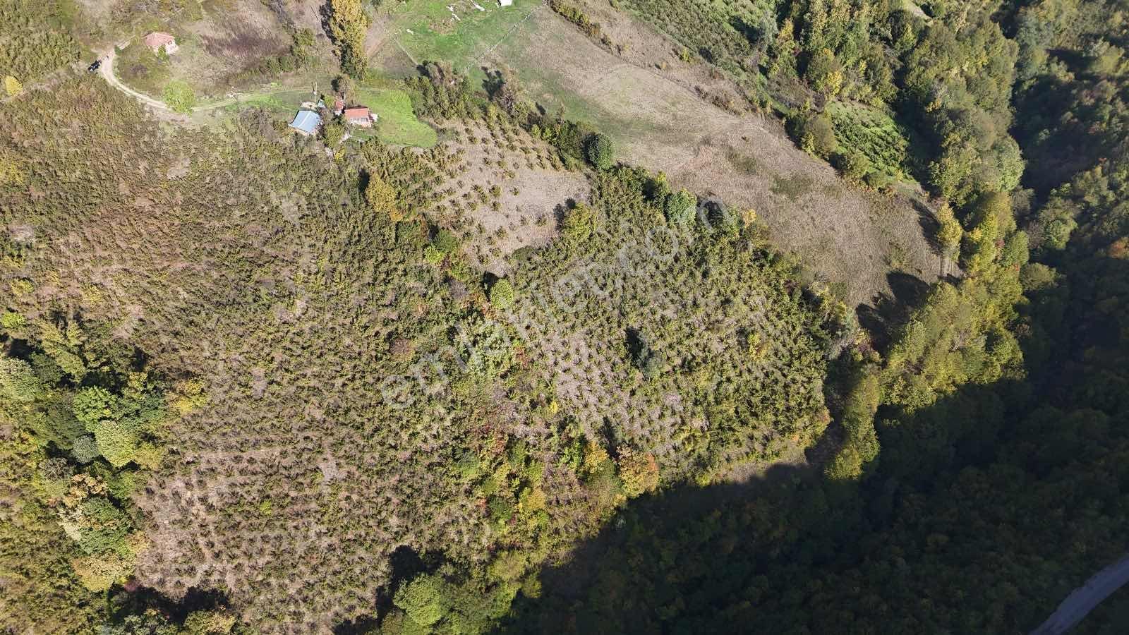 Ruşen Aydın Gayrımenkul'den Kaynaşlı Tavak Köyünde Satılık Arsa - Görsel 20