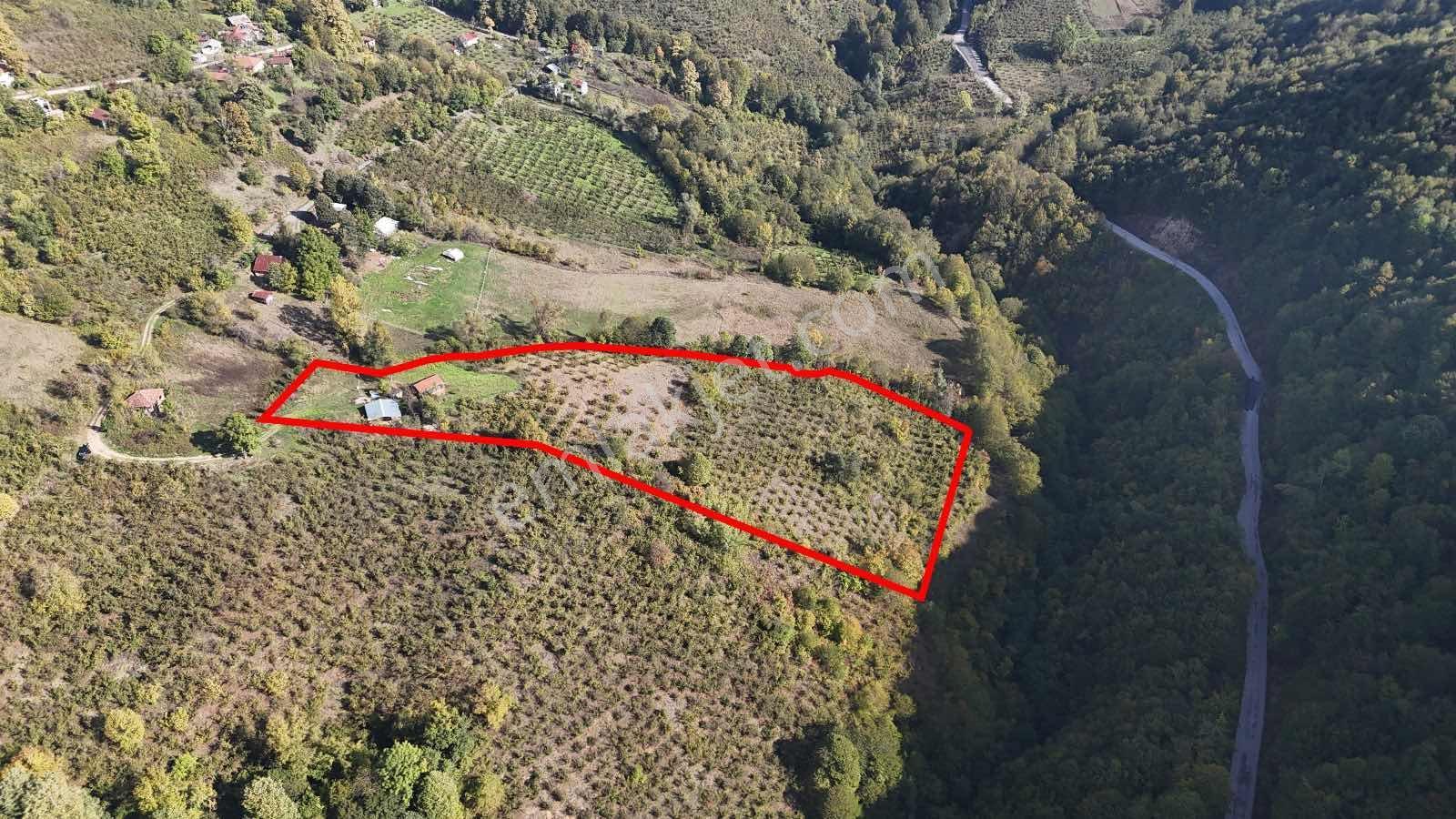 Ruşen Aydın Gayrımenkul'den Kaynaşlı Tavak Köyünde Satılık Arsa - Görsel 17