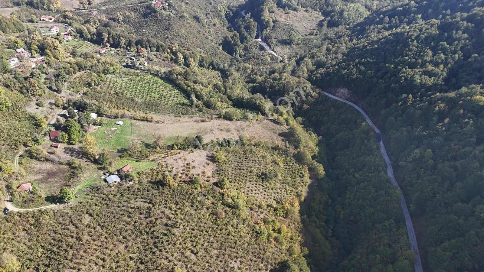 Ruşen Aydın Gayrımenkul'den Kaynaşlı Tavak Köyünde Satılık Arsa - Görsel 14