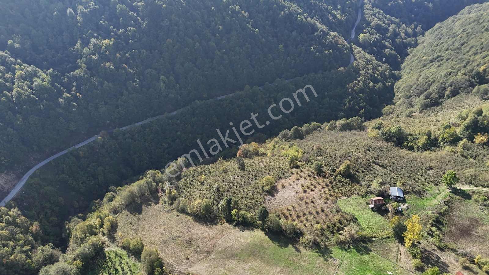 Ruşen Aydın Gayrımenkul'den Kaynaşlı Tavak Köyünde Satılık Arsa - Görsel 30