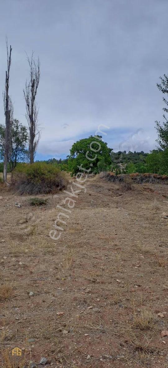 Seydikemer Dont Yaylası Köy İçi Satılık Tarla
